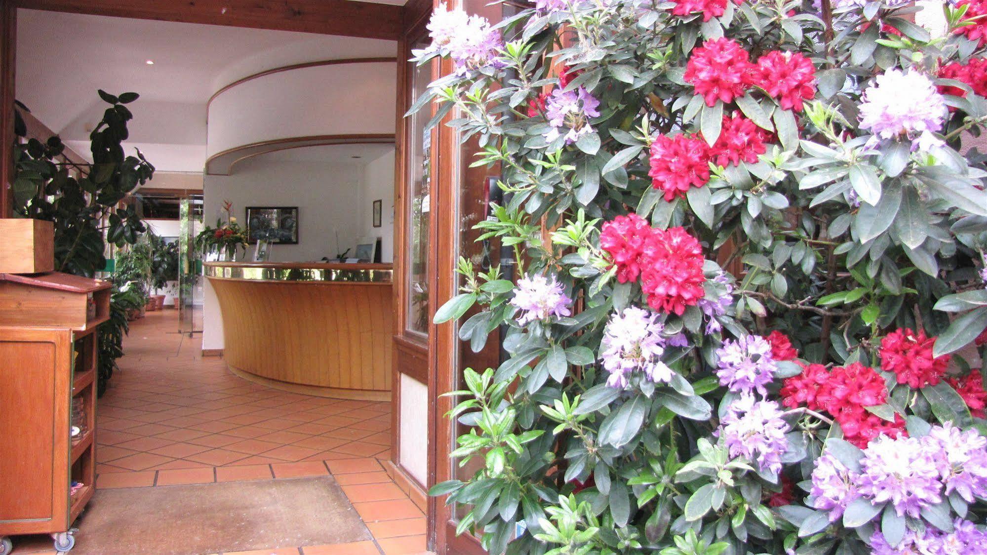 Hotel Le Caballin Vogelgrun Εξωτερικό φωτογραφία